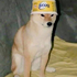 Avatar di dabarol