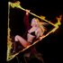 Avatar for Ava Max