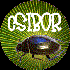 csibor 的头像