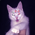 Avatar for mr_meowst3r