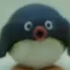 Avatar di codey101