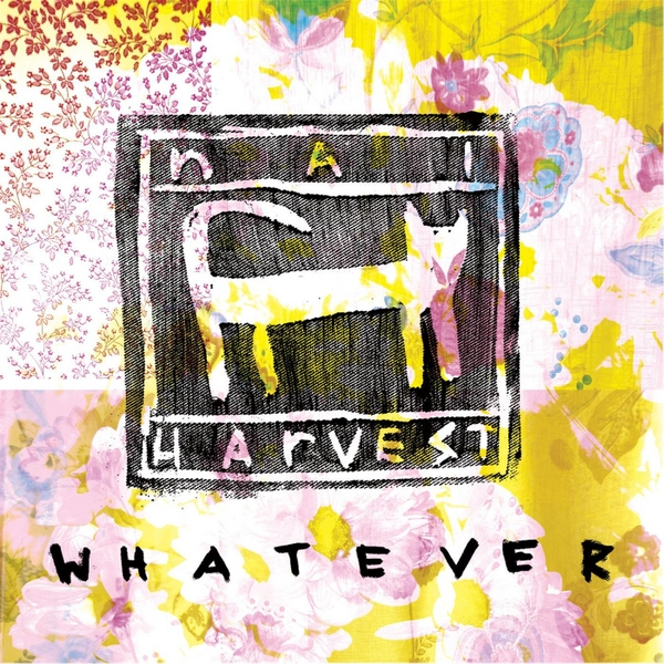 Whatever cover