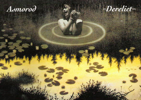 Derelict cover