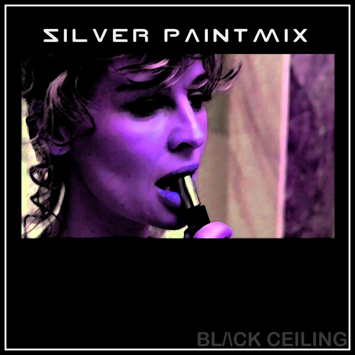 Silver Paint Mix cover