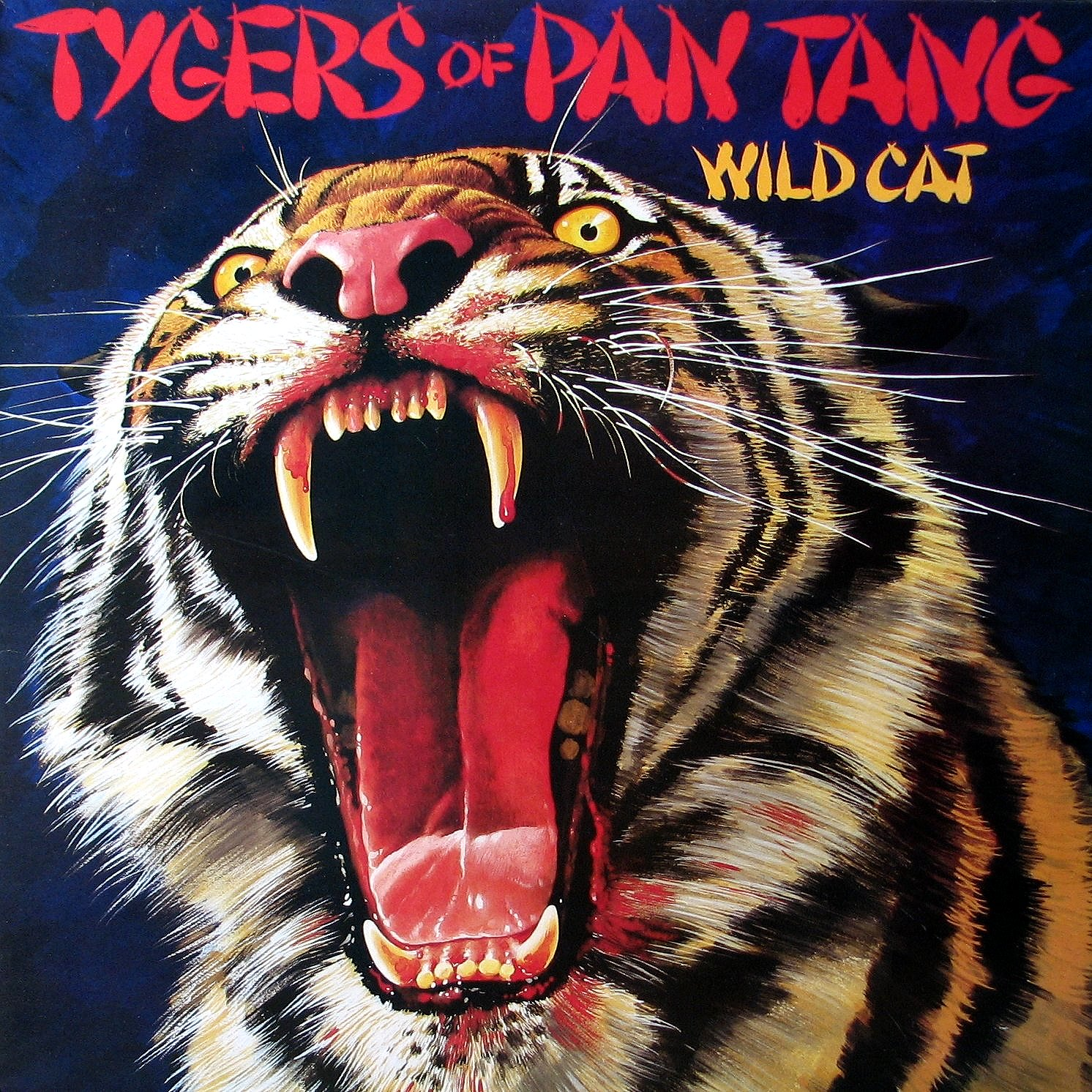 Wild Cat cover