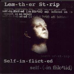Self-Inflicted cover