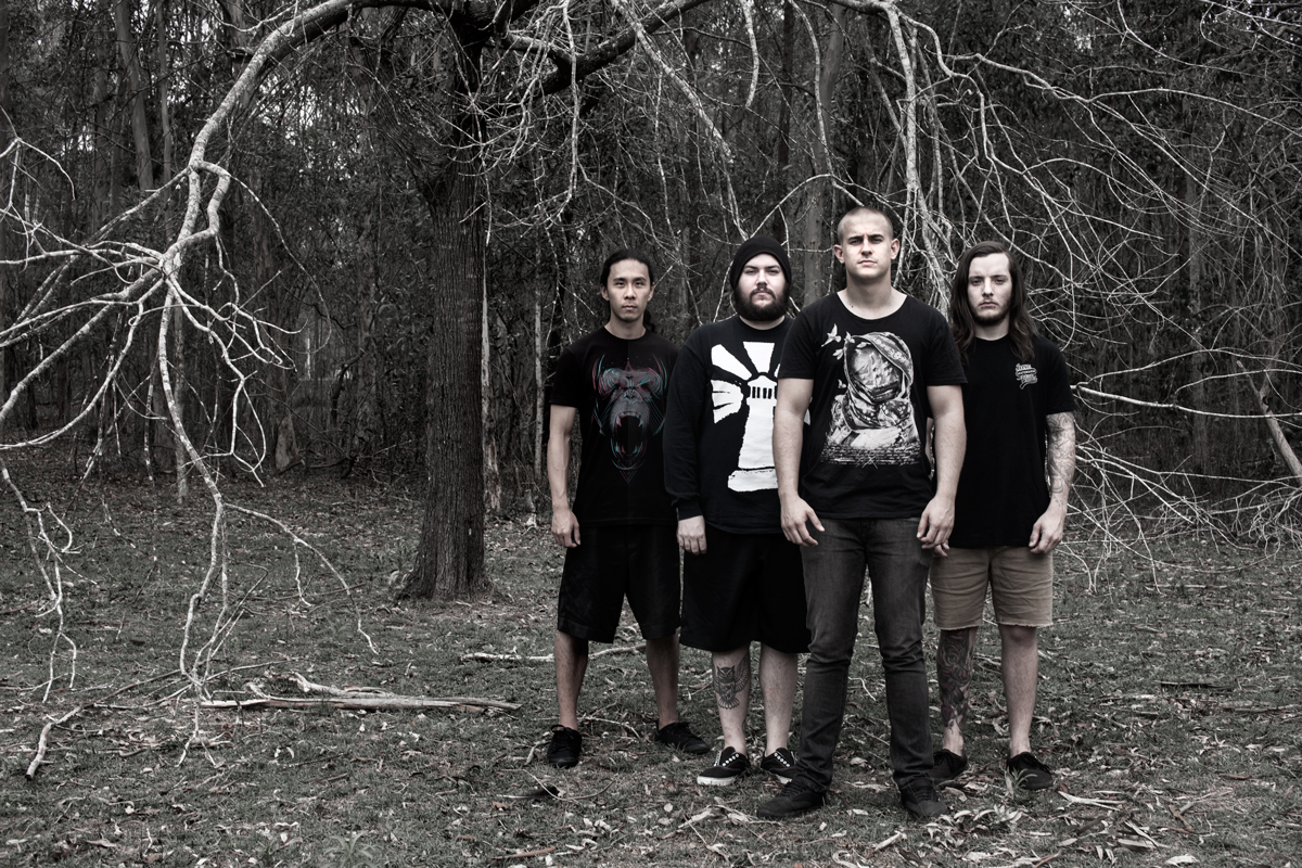 Death дискография. Thine enemies. Evermore группа. The way of wizards лейбл. Shadow of the down группа.