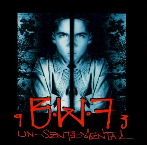 Un-Sentimental cover