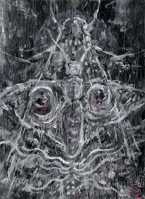 Nachtfalter cover