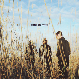 Nysch cover