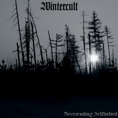 Frozen in Melancholy cover
