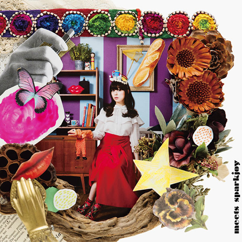meets sparkjoy cover