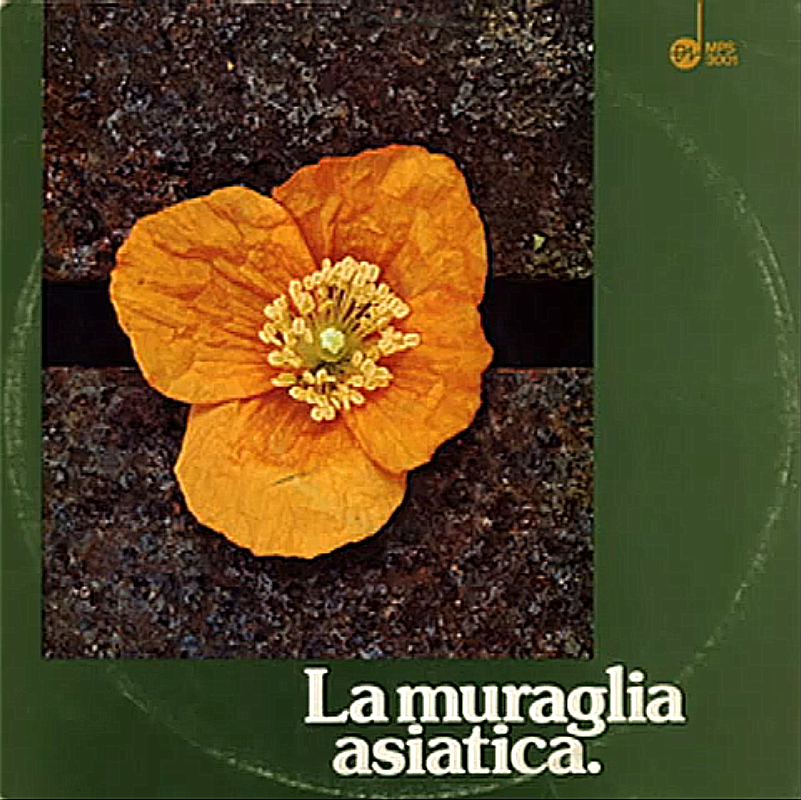 Aka cover