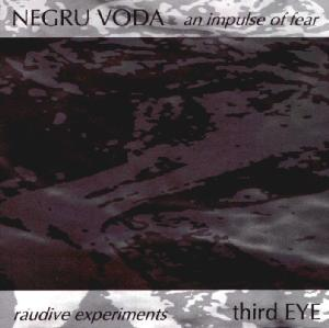An Impulse of Fear / Raudive Experiments cover