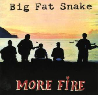 More Fire cover