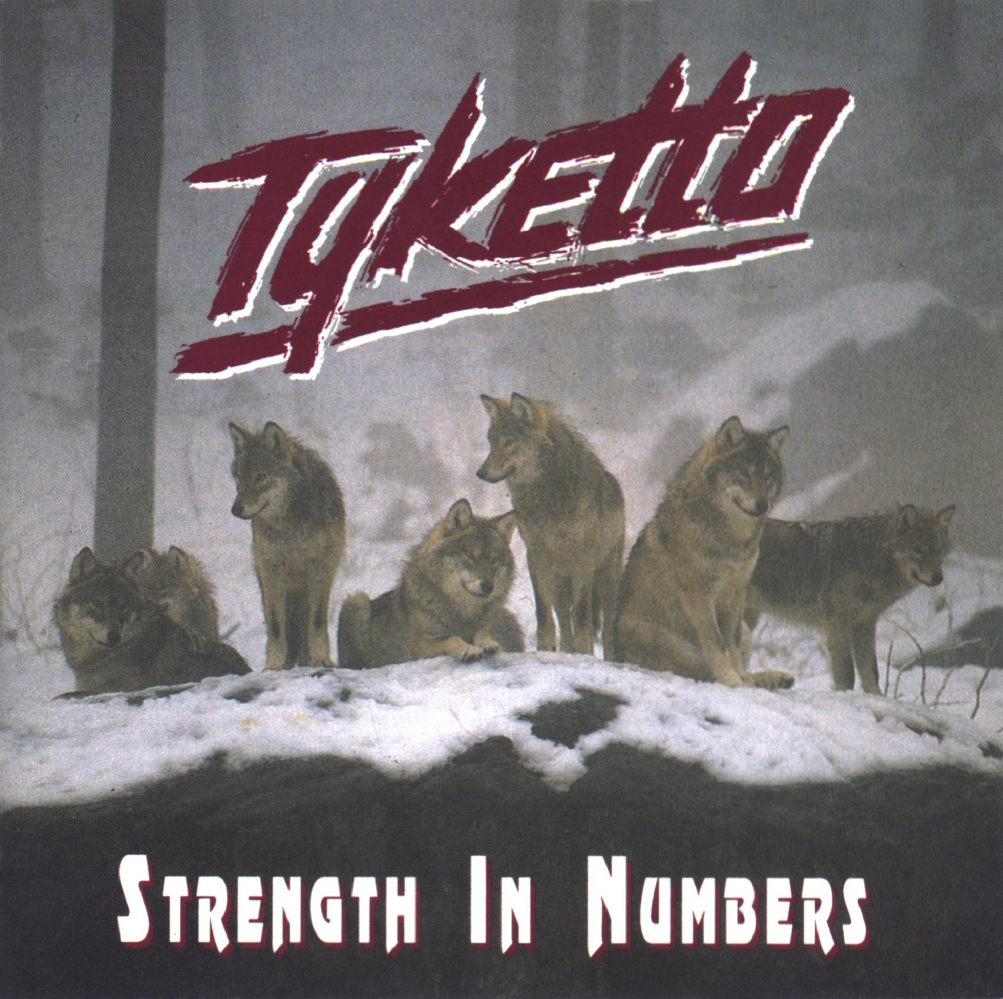 Strength in Numbers cover