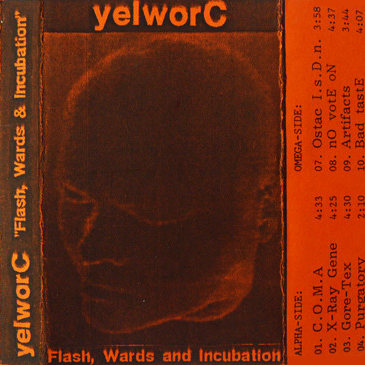 Flash, Wards & Incubation cover
