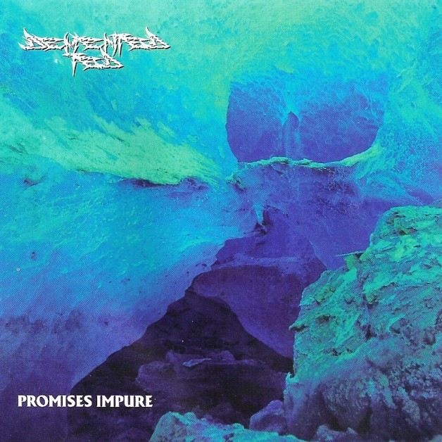 Promises Impure cover