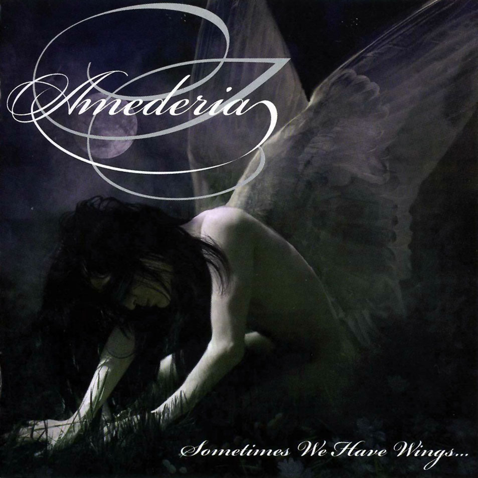 Sometimes We Have Wings... cover