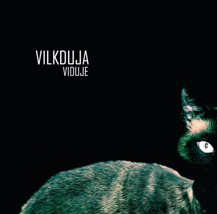 Viduje cover