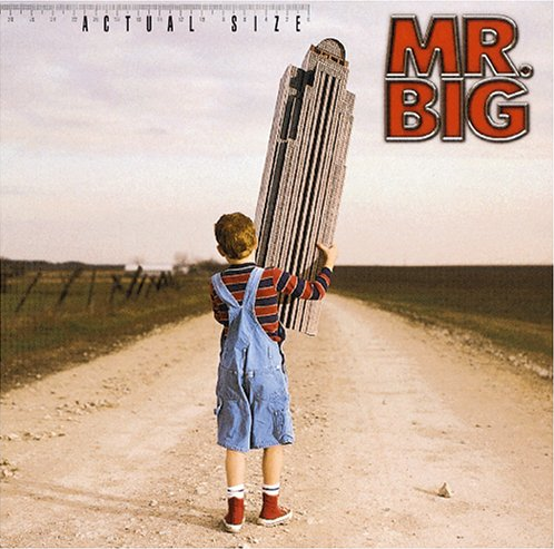 Actual Size cover
