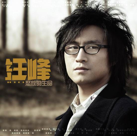 怒放的生命 cover