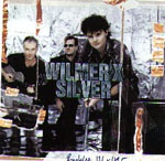 Silver cover