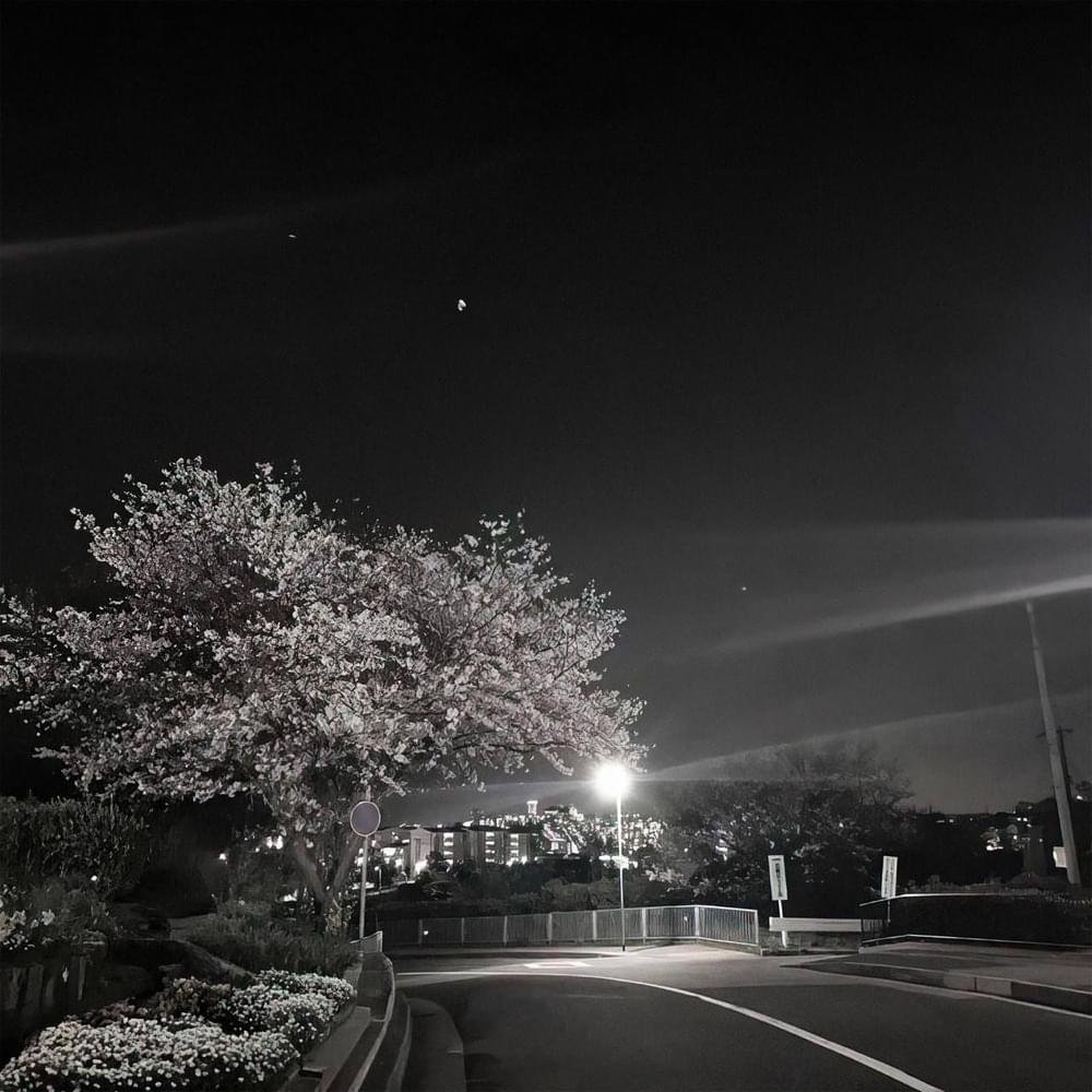 Image of FADE031
