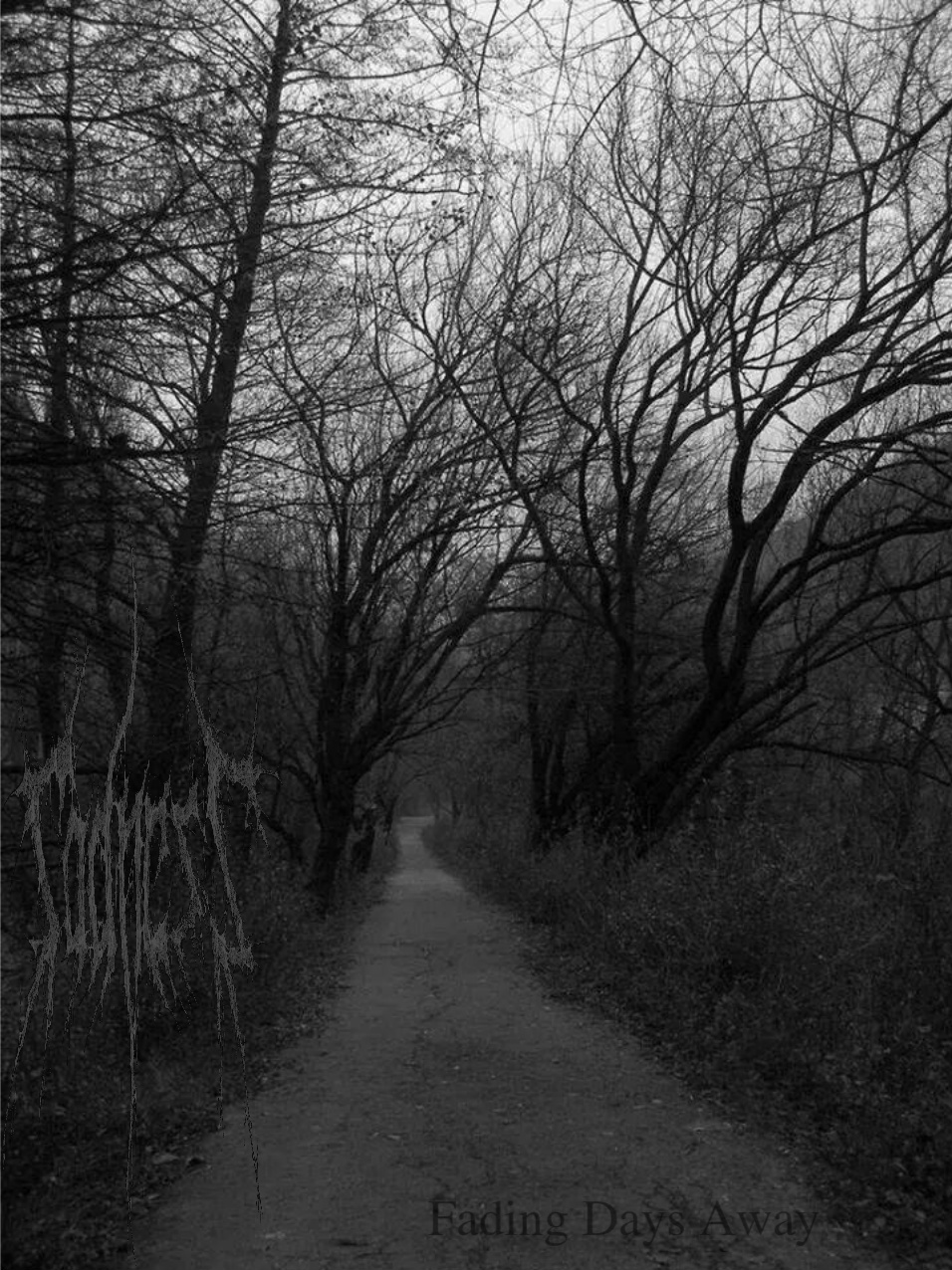 Fading Days Away... cover