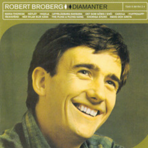 Diamanter cover