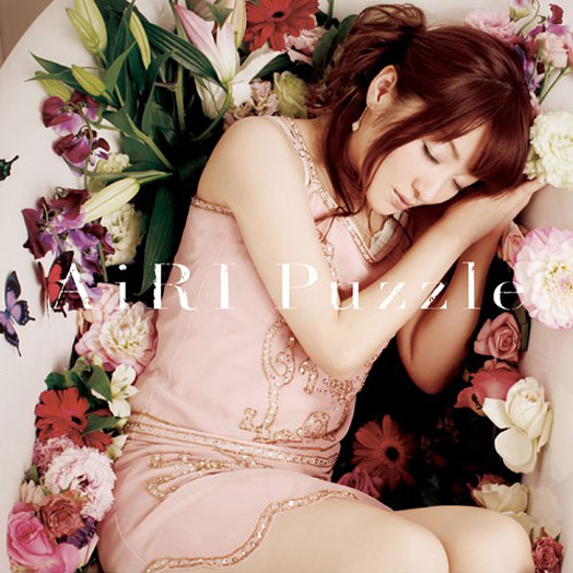 Puzzle cover