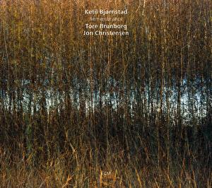 Remembrance cover