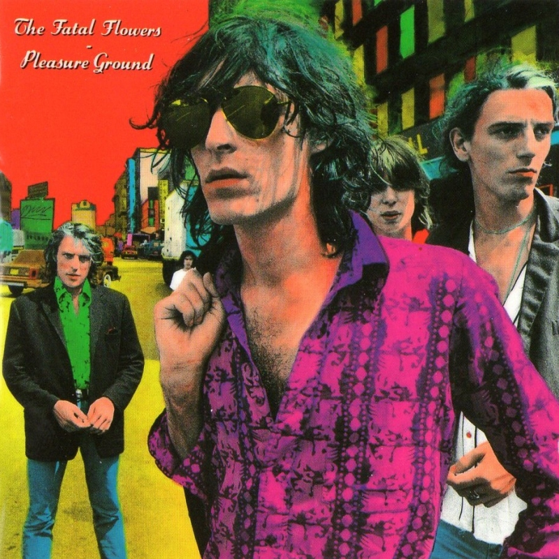 Pleasure Ground cover