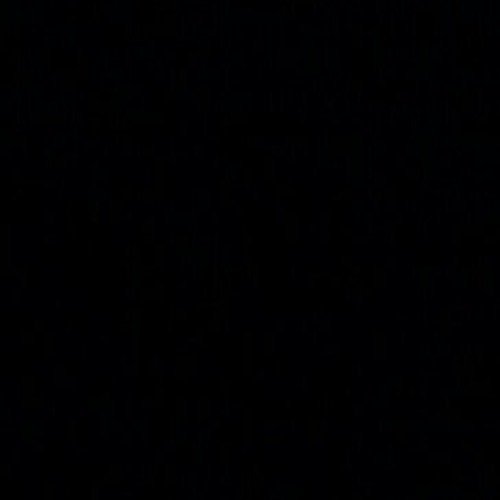 Image of Blackbear