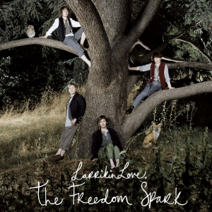 The Spark cover