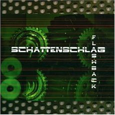 Flashback cover