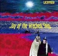 Joy of the Wrecked Ship cover