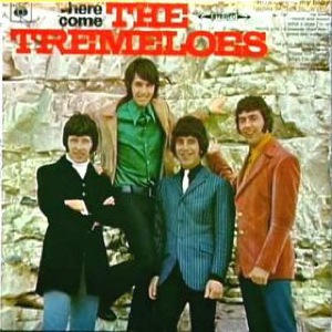Here Come the Tremeloes cover