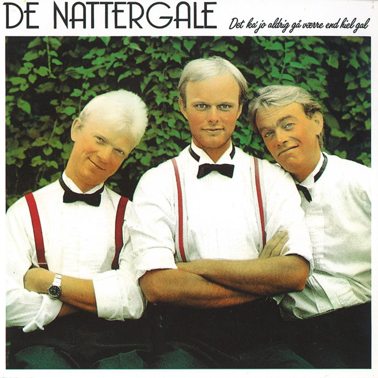Det ka' jo aldrig gå værre end hiel gal cover
