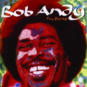 Fire Burning cover