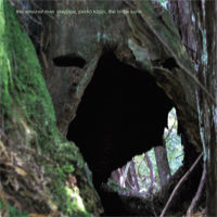 The Amazed Map cover