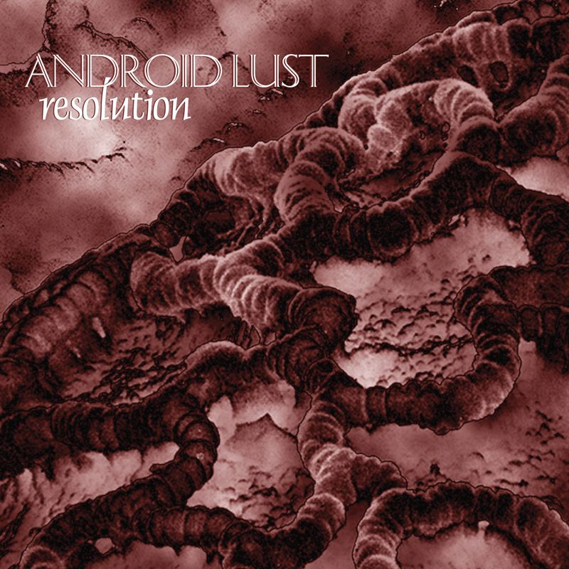 In the Arms of the Heretic cover