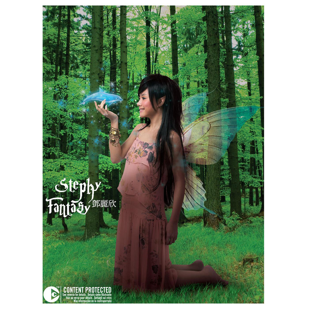Fantasy cover