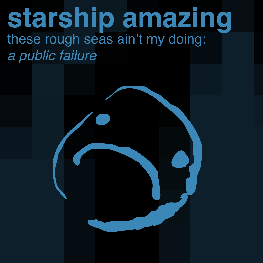 These Rough Seas Ain't My Doing: A Public Failure cover